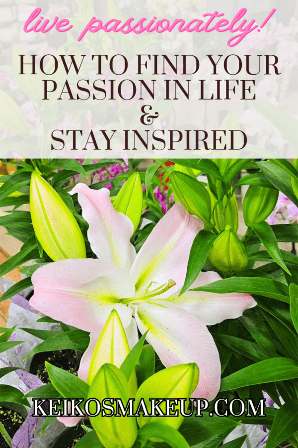 Finding Your Passion and Inspirations